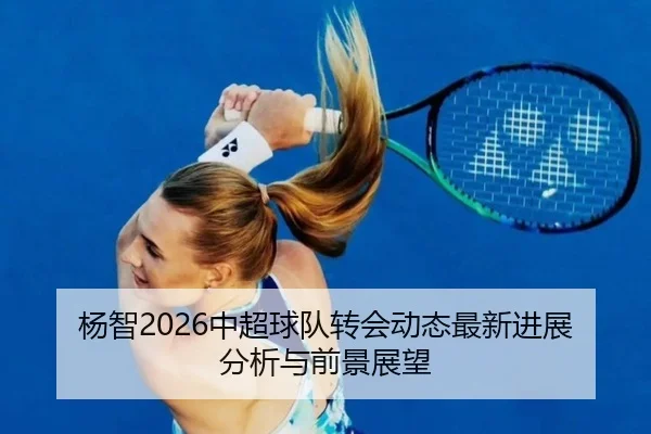 杨智2026中超球队转会动态最新进展分析与前景展望