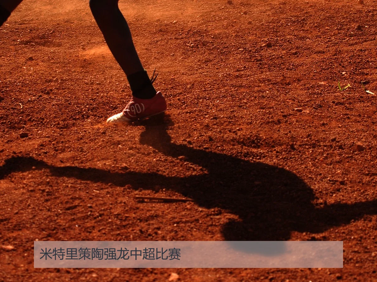 米特里策陶强龙中超比赛
